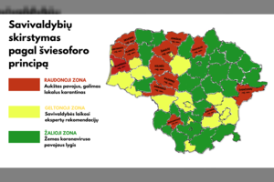 Patvirtinta: savivaldybės pagal sergamumą koronavirusu bus skirstomos į šviesoforo spalvų zonas
