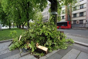 Ugniagesiai gelbėtojai įspėja dėl didelio vėjo ketvirtadienį