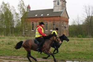 Užmarštin grimztanti arklininkystė – kelių entuziastų rankose