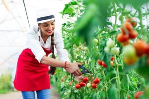 Ką naudinga žinoti apie ekologiškus maisto produktus?