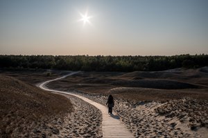 Mokslininkai perspėja: nyksta viena gražiausių Lietuvos vietų