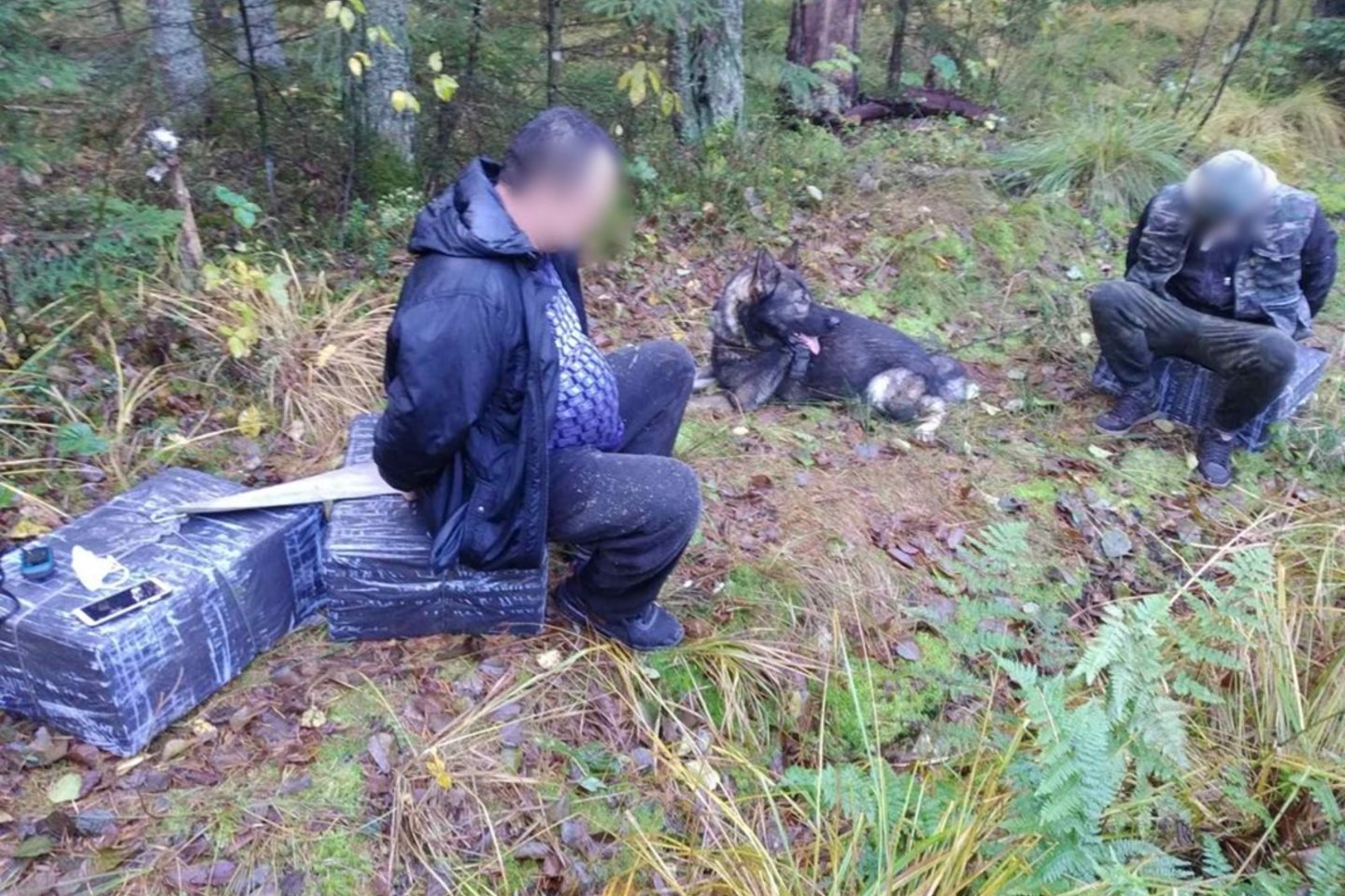 Čepkelių rezervate su cigaretėmis vėl sulaikyti du Eišiškių gyventojai.