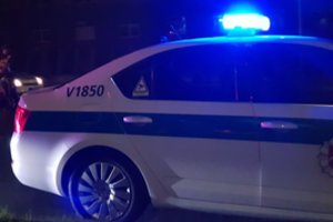 Alytaus rajone rasti du negyvi, įtariama, nunuodyti šuniukai