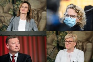 V. Janulevičius apie rinkimų rezultatus: prieš dalindamos pyragą moterys supranta, kad jį reikia iškepti