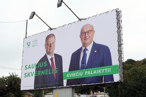 S. Skvernelį rinkimuose palaikęs V. Matijošaitis tikisi dialogo su naująja valdžia