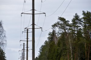 ESO ekspertai atsako: dažniausiai į pirmąjį etapą patekusių gyventojų užduodami klausimai