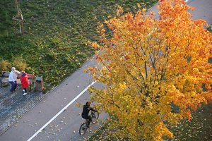 Sinoptikai apie besibaigiantį spalį: lis kasdien, bet niūrumą sklaidys šiluma