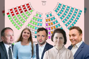 Seimo kėdėse sėdės ir veržlūs naujokai, ir ryškūs senbuviai