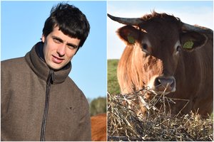 Vietoj bankininko kostiumo apsivilko ūkininko striukę – augina limuzinus ir to nesigaili