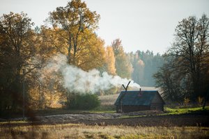 Aplinkosaugininkai įspėja: namuose kūrendami atliekas, labiausiai kenkiate savo sveikatai