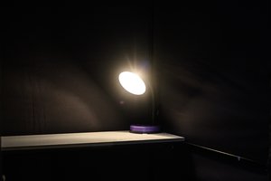 Vilniaus darželio-mokyklos direktorei – bauda už dokumentų klastojimą partijos naudai