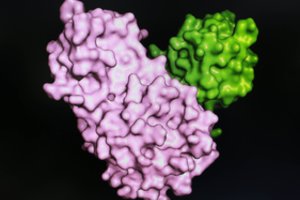 Išaugę koronaviruso skaičiai stabdo lietuvių gyvenimą: mokslininkai fiksuoja ryškų pokytį