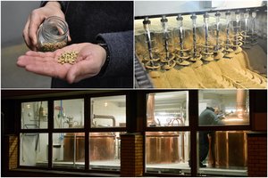 Salyklo gamintojai ūkininkus vilioja vis atkakliau: poreikis didelis 