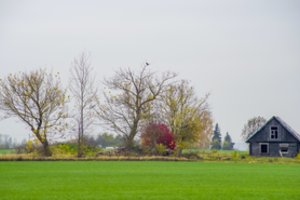 Savaitgalio orai: perkūniją keis maloni šiluma