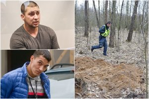 Vienas I. Strazdauskaitės žudikų kaip įmanydamas minkštino teisėjų širdis: atrodė, tuoj apsiverks