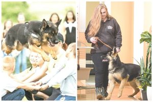 Šunų dresuotoja ir veterinarė Meilė – apie šeimininkų klaidas ir augintinių galimybes