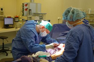 Negydomos ligos ne tiktai bjauroja kojas, bet ir kelia pavojų gyvybei 