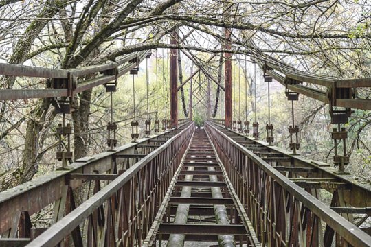 Pinigų sukrapštė tiktai kanapėms nušienauti: kas bus su pavojų keliančiu tiltu toliau, taip ir neaišku