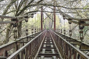 Pinigų sukrapštė tiktai kanapėms nušienauti: kas bus su pavojų keliančiu tiltu toliau, taip ir neaišku