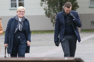 Vytautas Bruveris. Pandemijos ir politinių rietenų košėje G. Nausėdos lyderystė suerzino ir nueinančius, ir ateinančius valdančiuosius