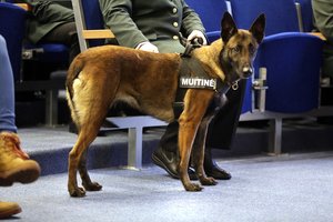 Muitininkai jaučiasi ES ekonominės erdvės saugotojais: sulaiko didžiulius kiekius į ES iš Baltarusijos gabenamų kontrabandinių rūkalų