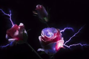 Taip kvepia pasaulio pabaigos jausmas – kūriniui prireikė elektros iškrovos