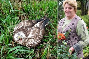 Radinys ganykloje suvirpino Vaidos širdį, tik pabaigos niekas tokios nesitikėjo 