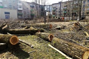 Sovietmečio dvasią skleidusio kvartalo tvarkymo darbai kai kuriuos klaipėdiečius nuvylė