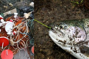 Du vyrai susimokės 27 tūkst. eurų už draustinyje Šilutės r. pagautas 9 vertingas žuvis