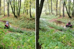 Istorinį dvaro parką be gailesčio niokoja keturračiai: gyventojai neslepia pasišlykštėjimo