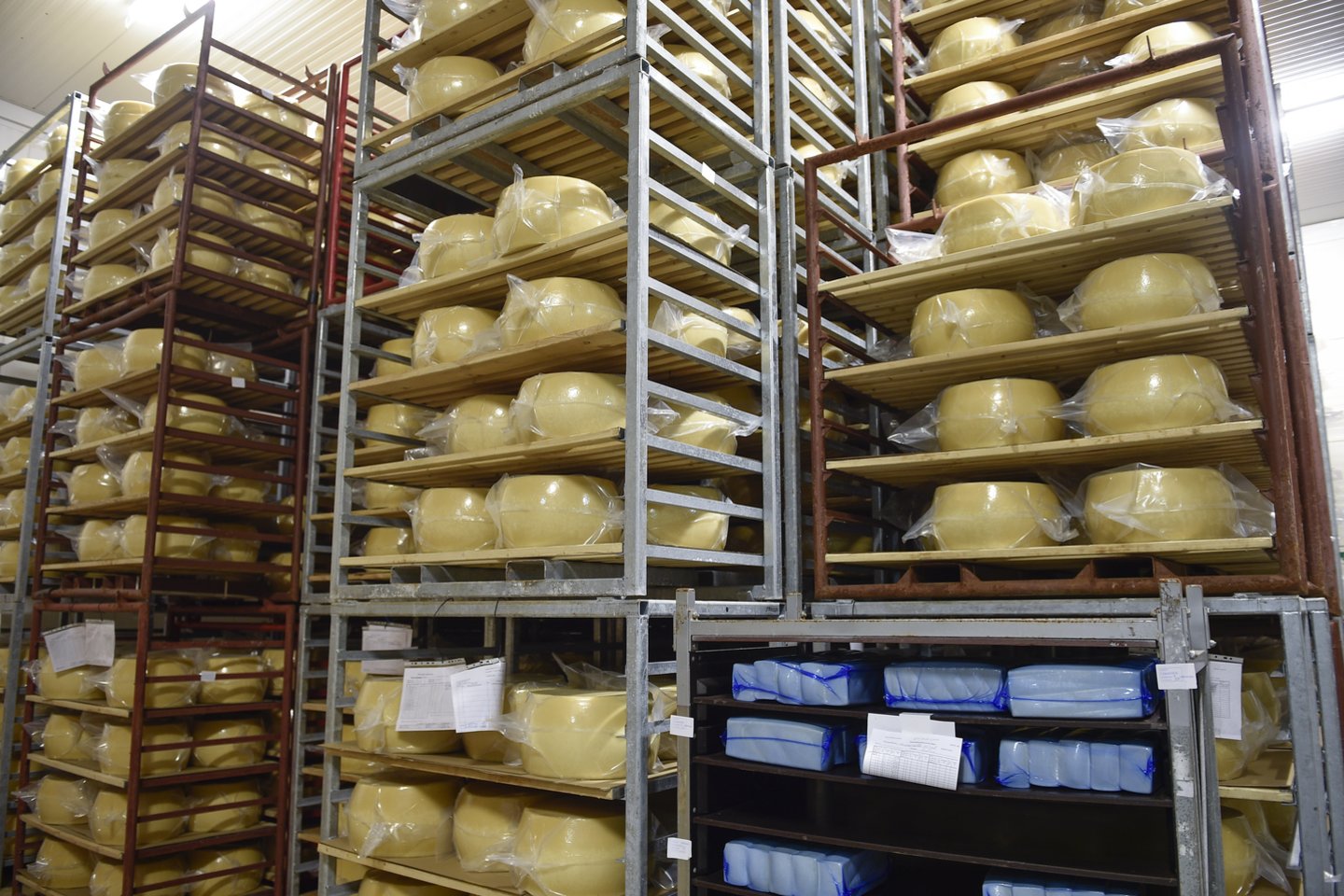 Į Kolumbiją Lietuvos gamintojai gali eksportuoti sviestą, sūrius, kondensuotą pieną, kitą pieno produkciją.<br> V.Ščiavinsko nuotr.