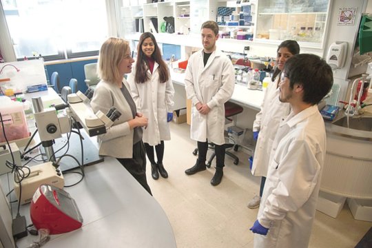 Išskirtinei akių operacijai Amerikoje vadovavo iš Lietuvos kilusi medikė 