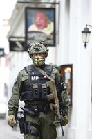 Po atakos Vienoje nušalintas už antiteroristines operacijas atsakingos agentūros vadovas