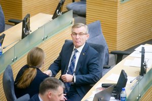 Kreipimosi į KT tekstą A. Širinskienė siūlo papildyti priekaištais