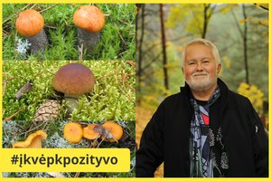 Gamtininkas M. Lapelė paaiškino, kur kitąmet ieškoti vertingų grybų