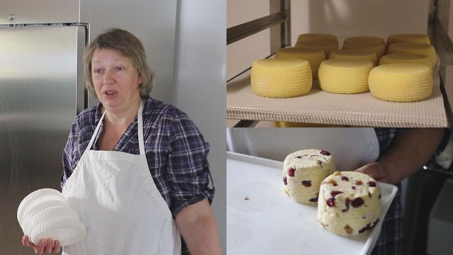 Auditorės verslą iškeitė į ūkininkavimą – dabar A. Griežė gamina įvairiausius sūrius