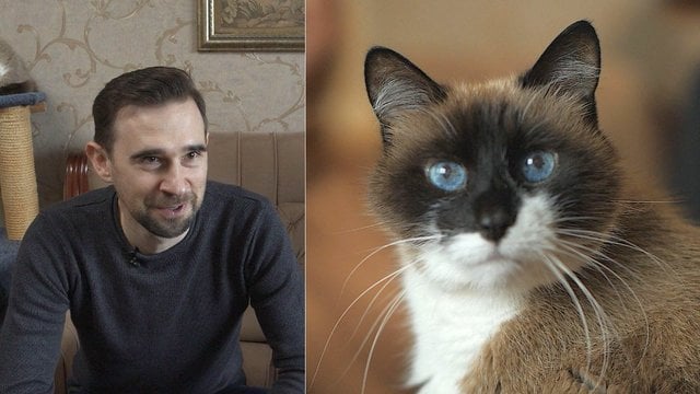 Jaudinanti katino Boriso istorija: jau 16 metų džiugina savo šeimininkus