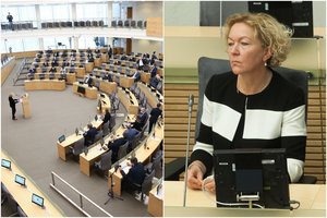 Teisėjos S. Rudėnaitės atleidimo istorijoje Seimui siūloma padėti tašką