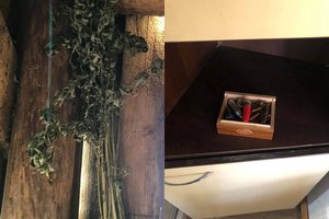 Rietavo pareigūnai vietos gyventojo sodyboje rado tris kibirus kanapių stiebų