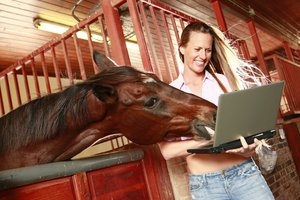 Patikrino, ar arkliai sugeba atpažinti savo šeimininkų veidus