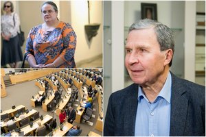 Konstitucinės teisės žinovas: Seimo užmojai pramušti rinkimų klausimą į KT – muilo burbulas