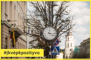 Vilniaus Gedimino prospekte – permainos: bus pakeista 17 nudžiūvusių liepų