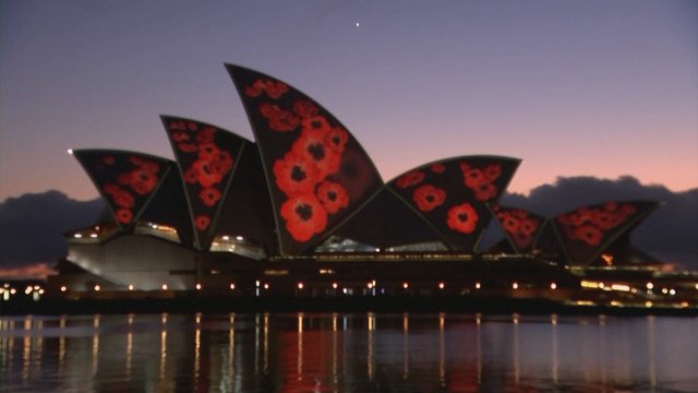 Minint svarbią dieną, milžiniški aguonų žiedai nušvietė Sidnėjaus operos teatrą