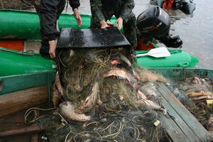 Per pasalą pareigūnai sulaikė du brakonierius: rado daugiau nei pusę kilometro tinklų