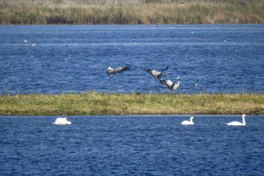 Pramonės įmonių išlaidos aplinkos apsaugai didėjo 24,9 proc.
