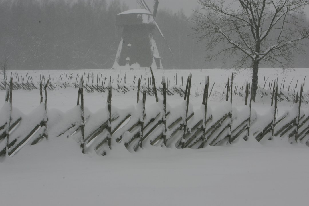 1985 m. lapkričio 12–13 d. dėl šalčio ir šlapio sniego apdrabos susiformavo storiausias per visą stebėjimų istoriją Lietuvoje apšalas, kurio skersmuo siekė 60–130 mm, o storis 30–40 mm.<br>V.Ščiavinsko nuotr.