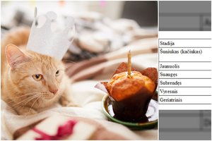 Kokio amžiaus jūsų augintinis skaičiuojant žmogaus metais? Atsakymas sudėtingesnis, negu manėte