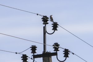 „Igničio“ tiekiama elektra gyventojams nuo sausio brangs 4,5 proc.