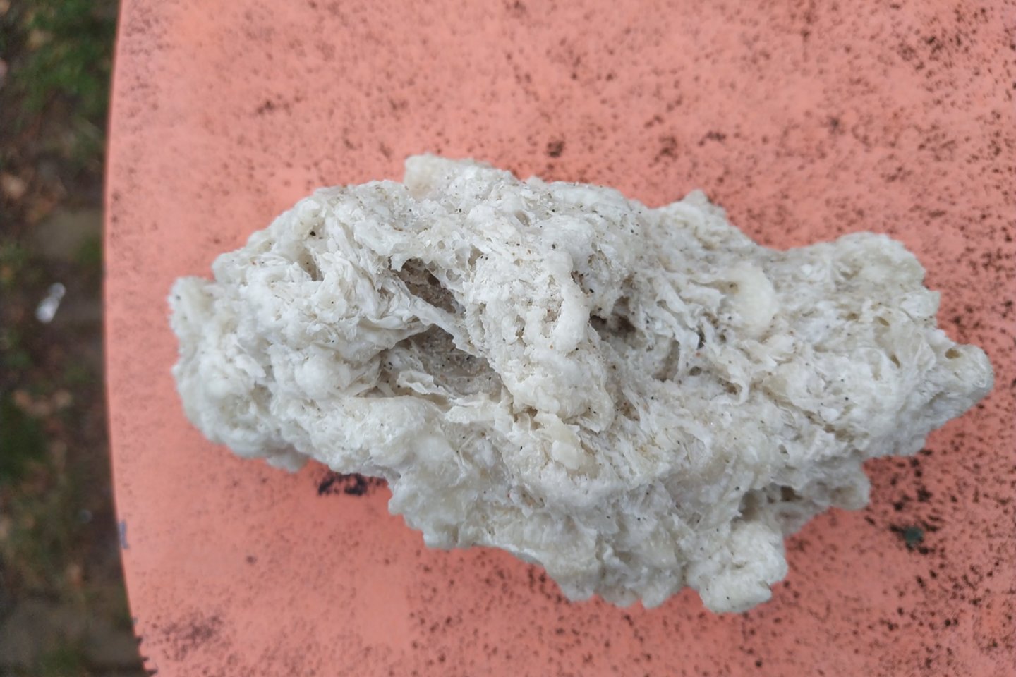 Parafino luitai Kuršių nerijos pakrantėje.<br>J. Dūdėno nuotr.