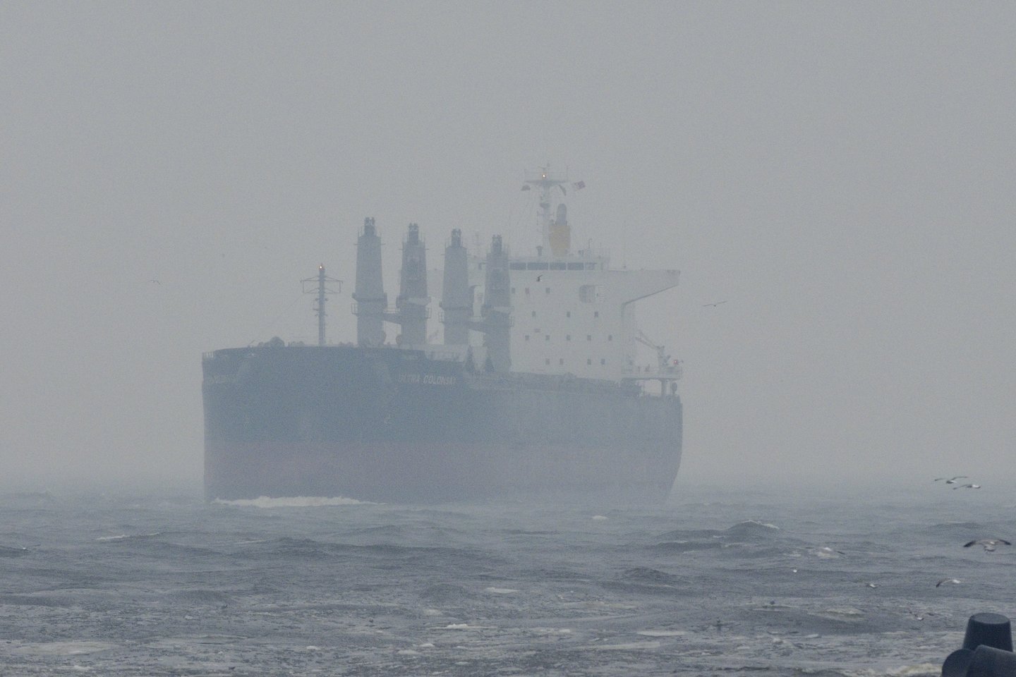 Laivai Klaipėdos uoste.<br>V.Ščiavinsko asociatyvi nuotr.